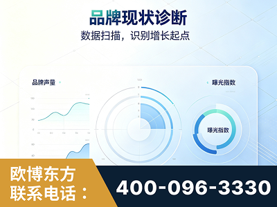 嘉峪关-品牌现状诊断
