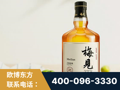 嘉峪关-梅见青梅酒